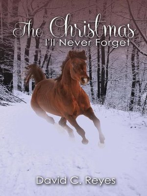 cover image of The Christmas I'll Never Forget